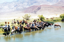 USA-California-Owens Valley Horse Drive